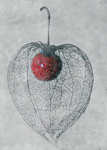 Photograph Michel Bochet Merand Amour En Cage on One Eyeland